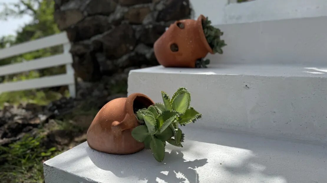 The Top House, Crabbe Hill, Antigua — photo 10 of 10