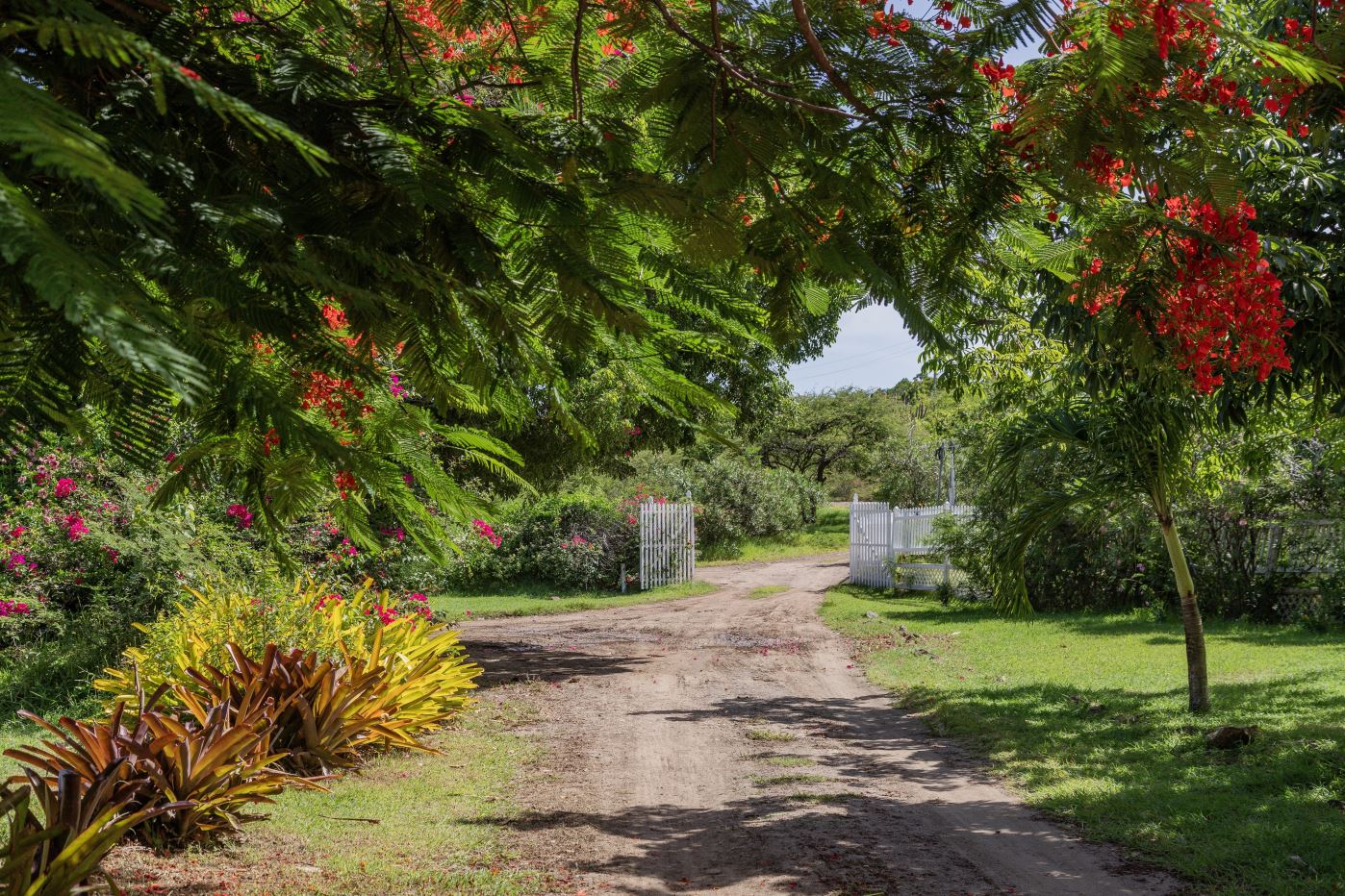 Indian Creek, Piccadilly, Antigua — photo 2 of 15